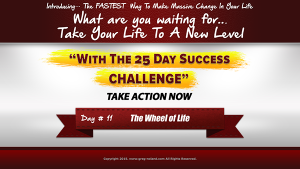 day 11 of the 25 day success challenge, wheel of life